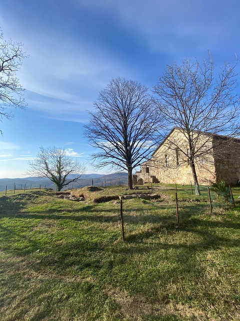 Mosteiro, Georgia, Religião, Kutaisi