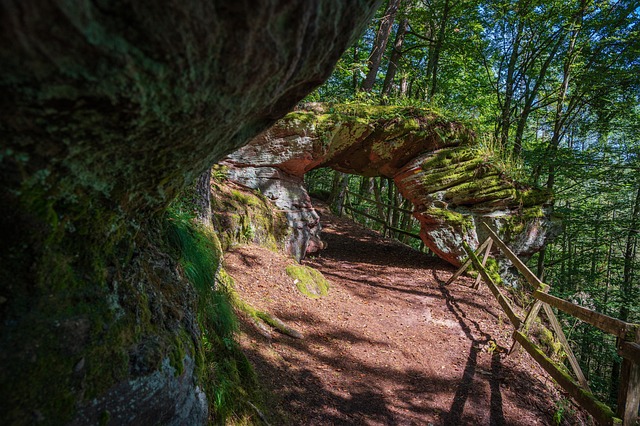 Free Rock Gate Palatinate Forest photo and picture