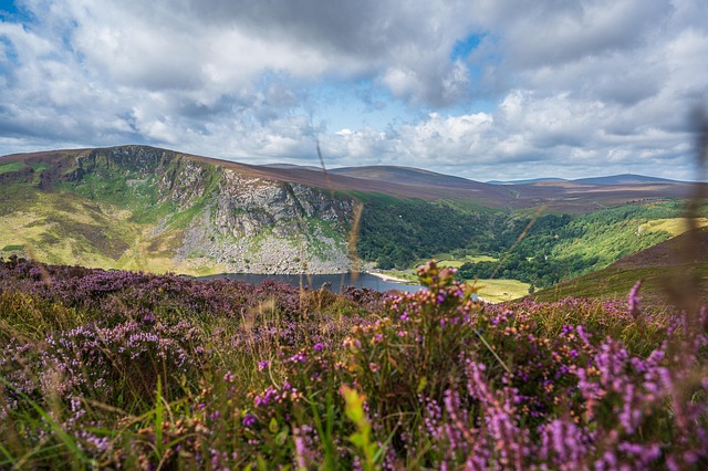 Free Ireland Nature photo and picture