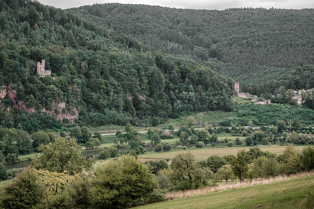 Free Neckarsteinach Castle photo and picture