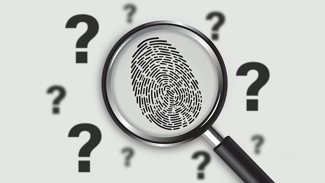 Free Fingerprint Search photo and picture