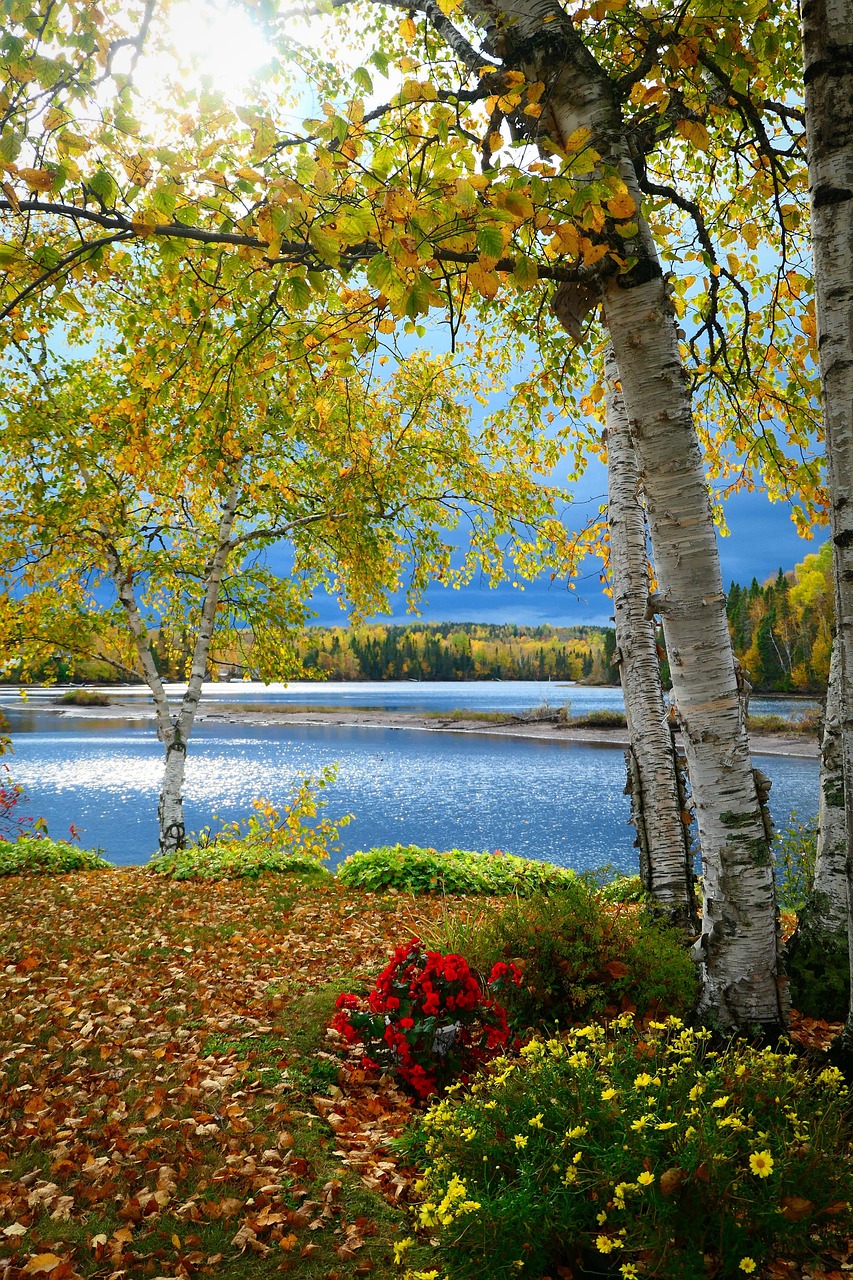 Landscape Fall Colors Free photo on Pixabay