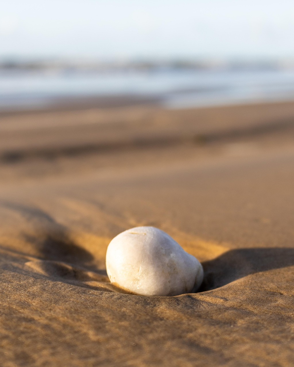 Beach Stone Sand Free photo on Pixabay