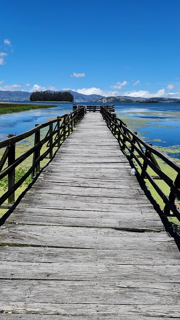 Free Total Lake Aicca photo and picture