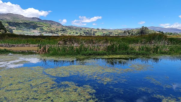 Free Total Lake Aicca photo and picture