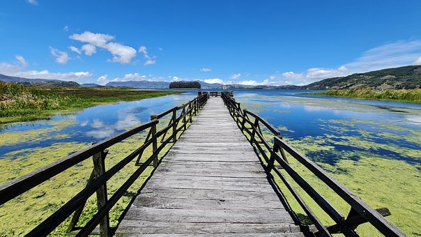 Free Total Lake Aicca photo and picture