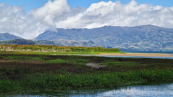 Free Total Lake Aicca photo and picture