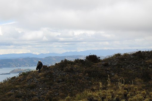 Free Panorama Aicca photo and picture