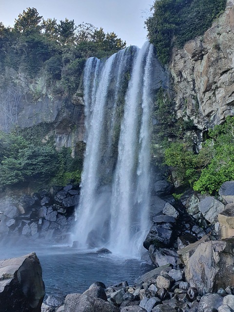 Free Waterfall Jeju Island photo and picture