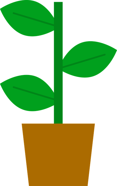 Gryde, Plante, Dekoration