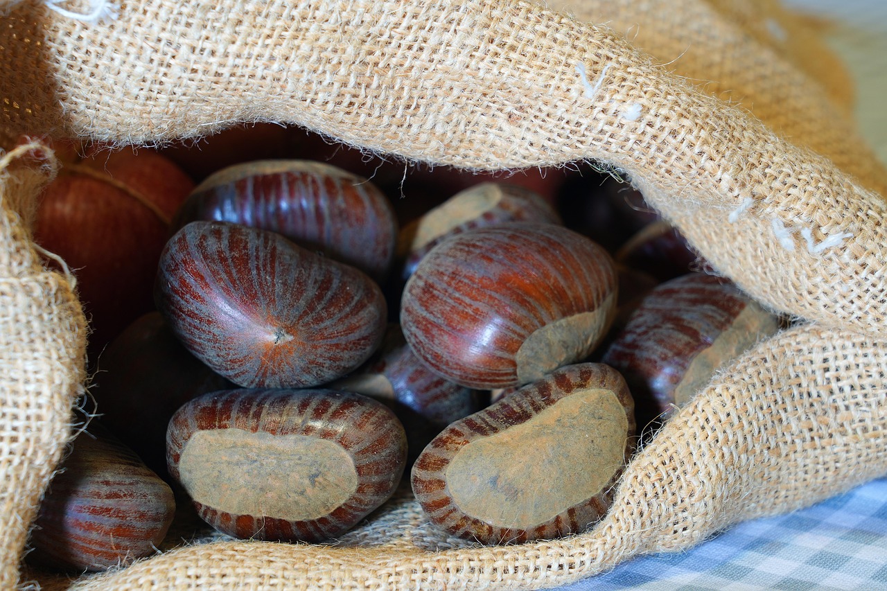Castagna Autumn Food - Free photo on Pixabay