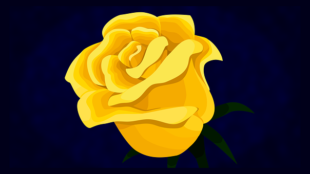 Trandafir, Floare, Galben, Natura, Bloom