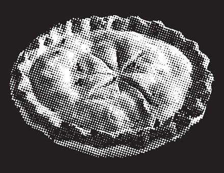 Free Pie Dessert vector and picture