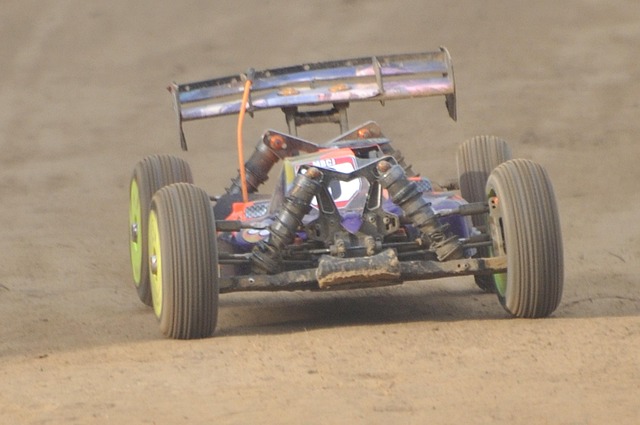 Free Rc Car Buggies photo and picture