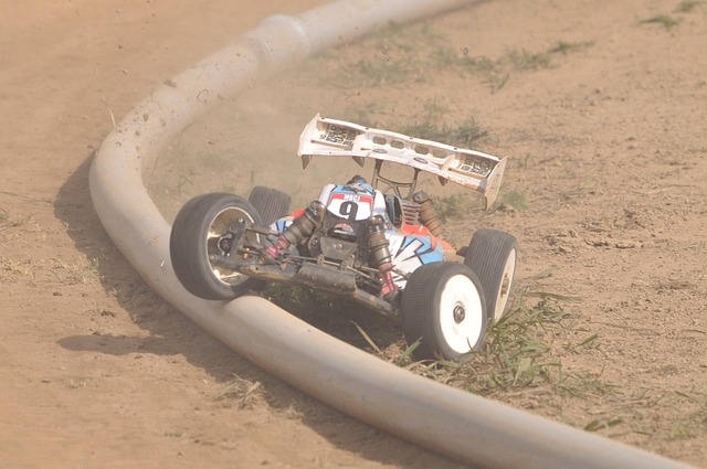 Free Rc Car Buggies photo and picture