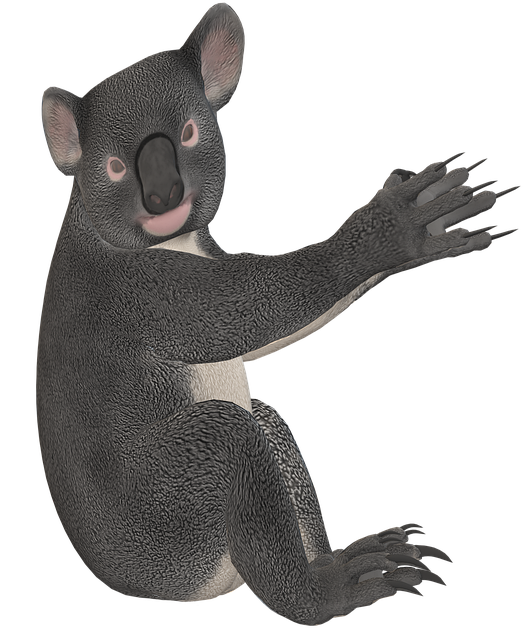 Free koala marsupial animal illustration