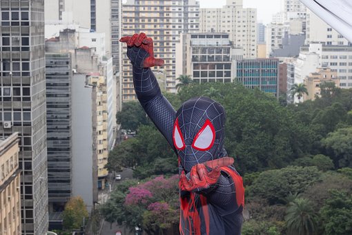 Free Spider Art photo and picture