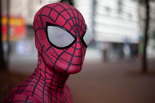 Free Spider Art photo and picture