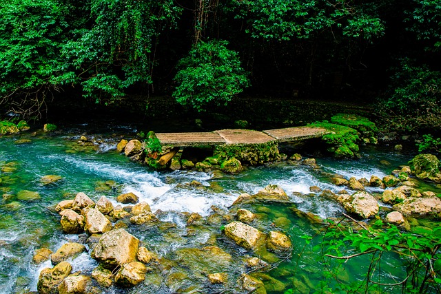 Natureza Ribeiro Rio - Foto gratuita no Pixabay