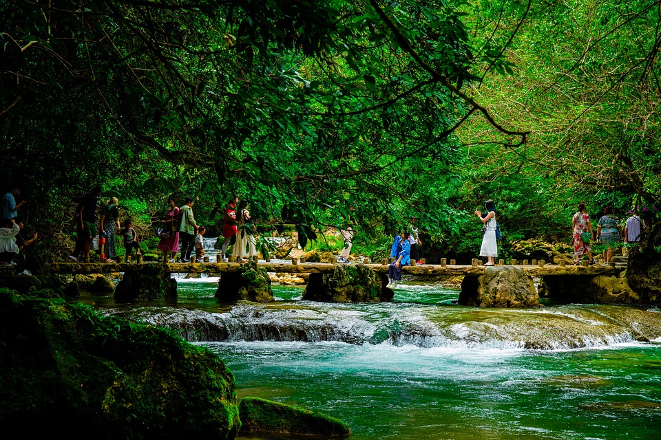 Natureza Ribeiro Rio - Foto gratuita no Pixabay