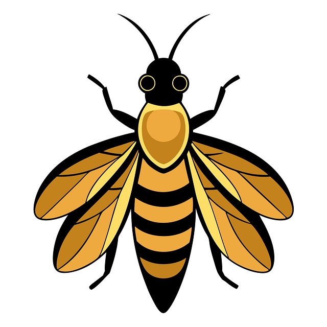 Free firefly insect wings illustration