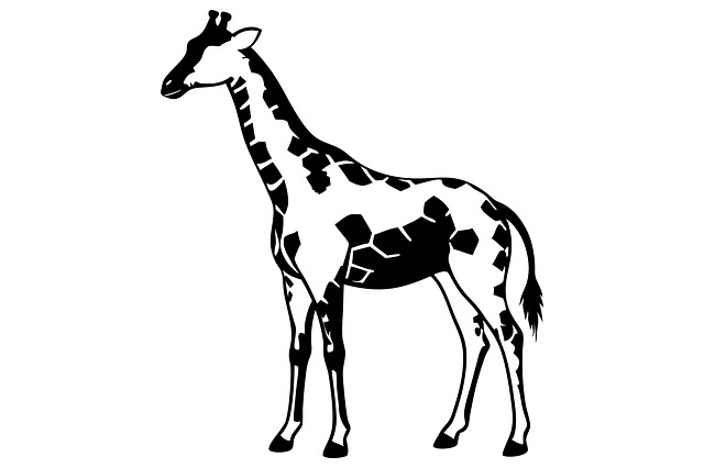 Free giraffe vector giraffe illustration giraffe art illustration