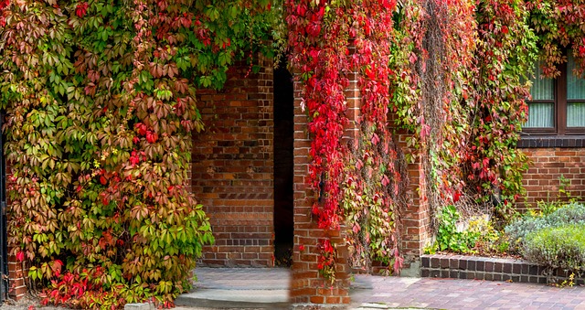 Free Autumn Nature photo and picture