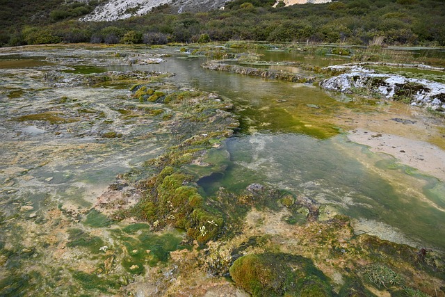 Free Nature Water photo and picture