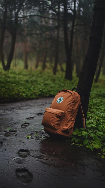 Rucksack, Wald, Baum, Dunkle Atmosphäre