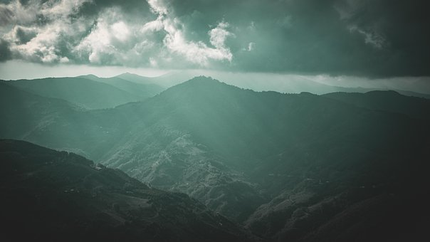 Free Forest Nature photo and picture