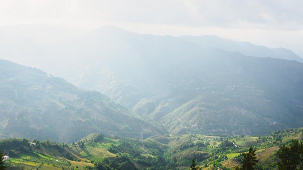 Free Forest Nature photo and picture