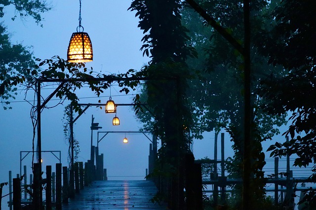 Pier, Jungle, Eng, Natuur