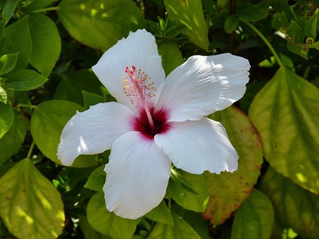 Free Cyprus Mediterranean photo and picture
