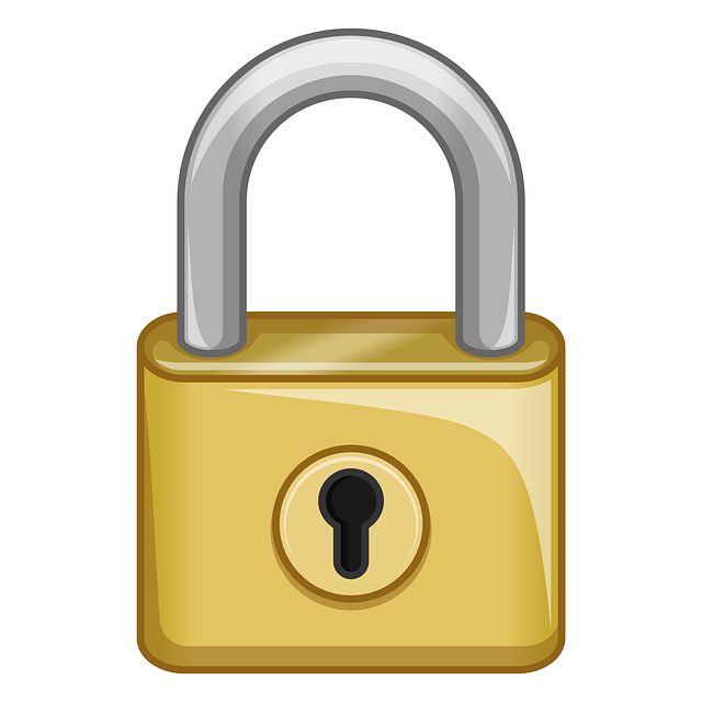 Free padlock lock security vector