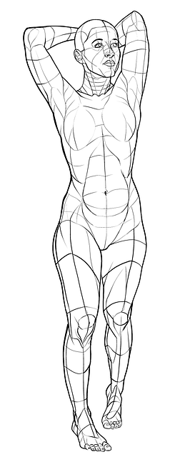 Pose, Referencia, Dibujo, Cómo
