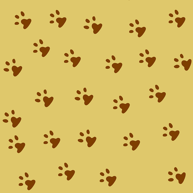 Free paw paw print print illustration