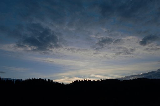 Amurg, Apus De Soare, Natura, Pădure