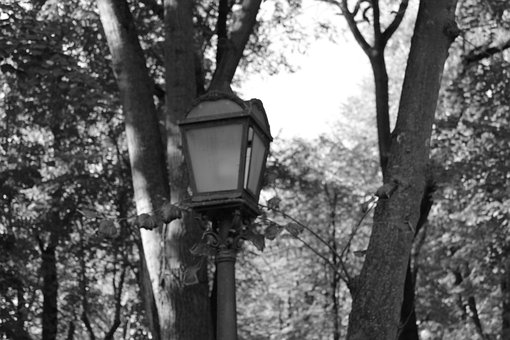 Licht, Birne, Taschenlampe