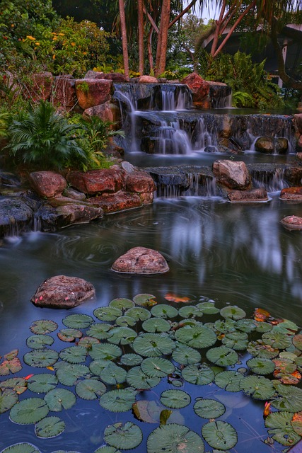 Free Nature Water photo and picture