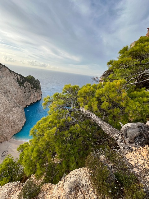 Free Island Sea photo and picture