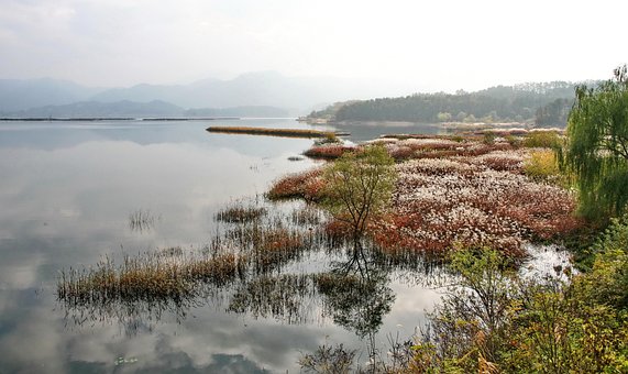 Landskab, Vis, Vand, Udendørs, Natur