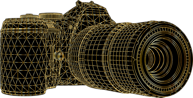 Free camera photography picture vector