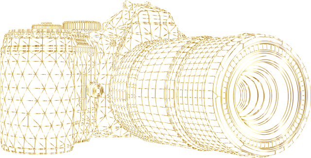 Free camera photography picture vector