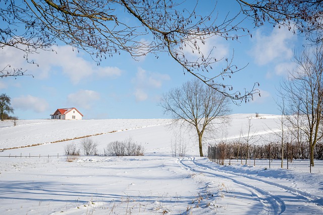 Vinter, Hvid, Landskab, Natur, Sne