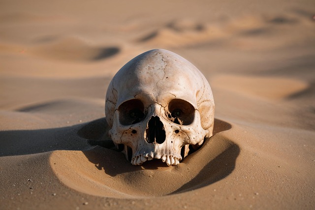 Free ai generated skull desert illustration