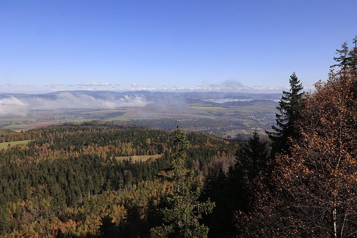 Paisaje, Naturaleza, Bosque, Nubes