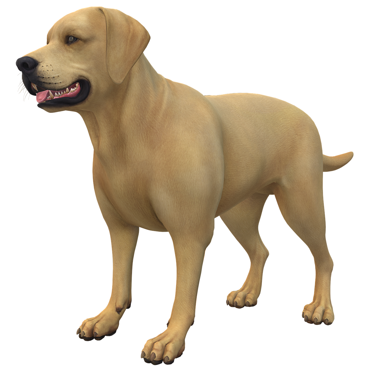 plus-de-2-000-illustrations-gratuites-de-copain-et-de-gens-pixabay