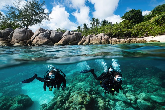 Free scuba diving coral reef scuba illustration