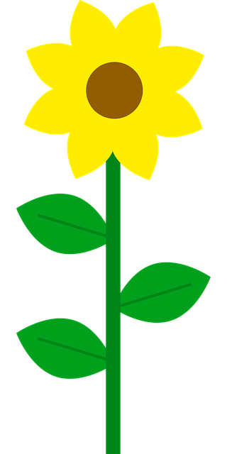 Solsikke, Smukke Blomster, Gul, Blomst