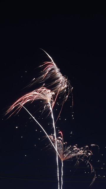 Free Night Festival photo and picture